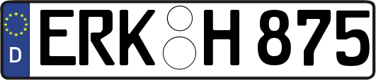 ERK-H875