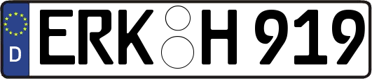 ERK-H919