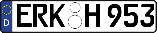 ERK-H953