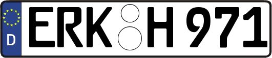 ERK-H971