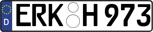 ERK-H973