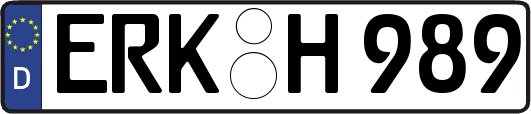 ERK-H989