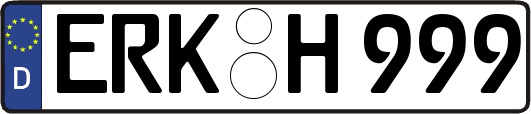 ERK-H999