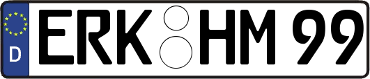 ERK-HM99