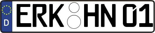 ERK-HN01
