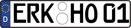 ERK-HO01