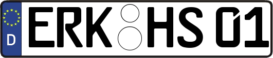ERK-HS01