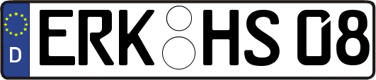 ERK-HS08