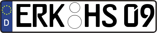ERK-HS09
