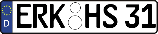 ERK-HS31