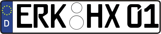 ERK-HX01