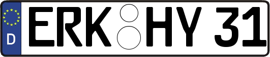ERK-HY31