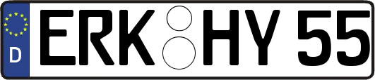 ERK-HY55