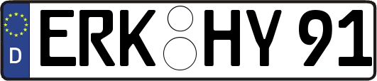 ERK-HY91