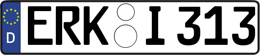 ERK-I313