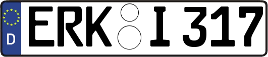 ERK-I317