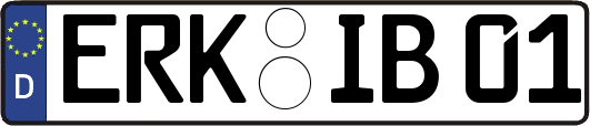 ERK-IB01
