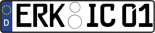 ERK-IC01