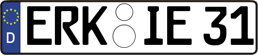 ERK-IE31