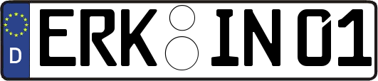 ERK-IN01