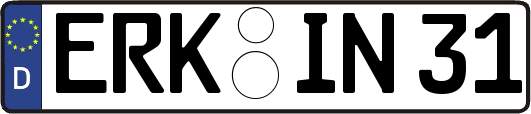 ERK-IN31
