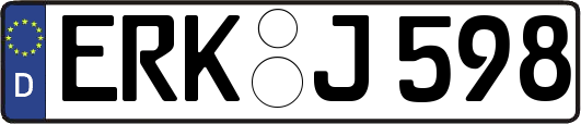 ERK-J598