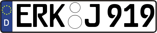 ERK-J919