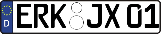 ERK-JX01