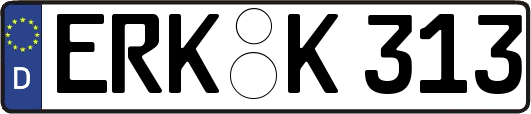 ERK-K313