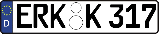 ERK-K317