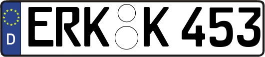 ERK-K453