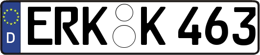 ERK-K463