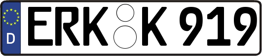ERK-K919