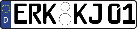 ERK-KJ01