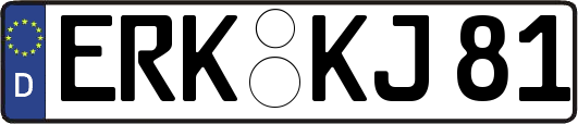 ERK-KJ81