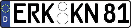 ERK-KN81
