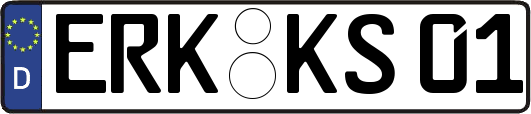 ERK-KS01