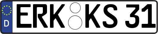 ERK-KS31