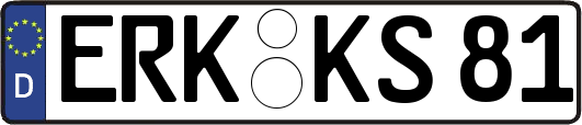 ERK-KS81