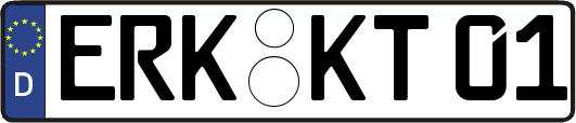 ERK-KT01