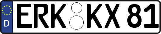 ERK-KX81