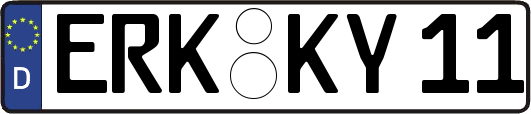 ERK-KY11