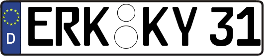 ERK-KY31