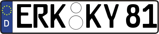 ERK-KY81
