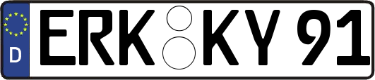 ERK-KY91