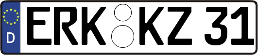 ERK-KZ31