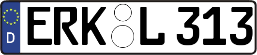 ERK-L313