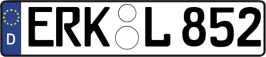 ERK-L852