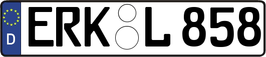 ERK-L858