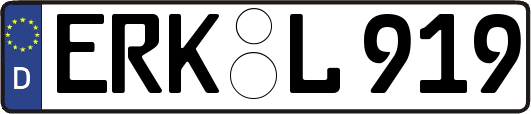 ERK-L919